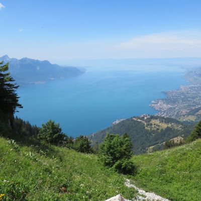 9 juillet 2023 - Rochers de Naye (CH)