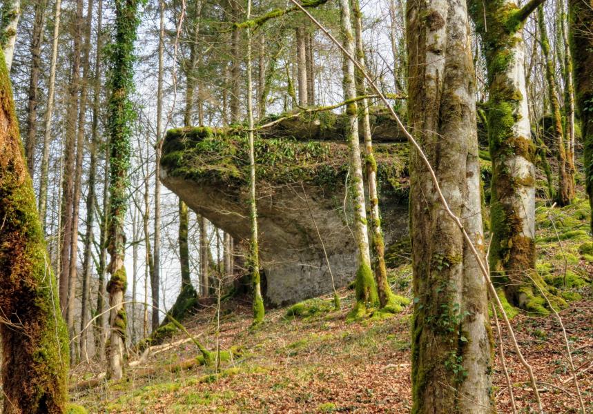 18 Mars 2022 - Ornans - Baume Bourla - La Peusse
