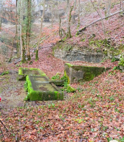 7 Janvier 2022 - Chassagne - Fontaine de Léri