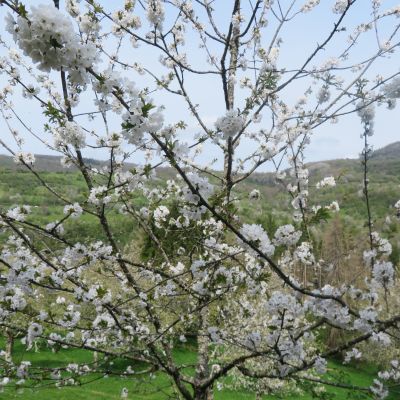 10 avril 2026 Lods - Mouthier