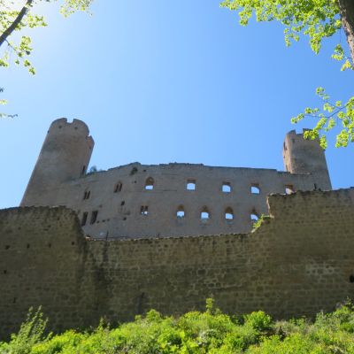 Du 23 au 26 avril 2026 Mont St Odile Alsace