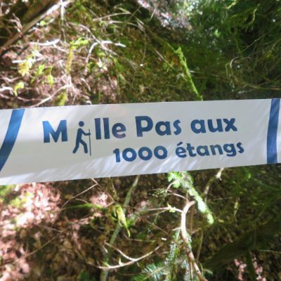 Mille Pas aux 1000 étangs dim 14 juin 2026