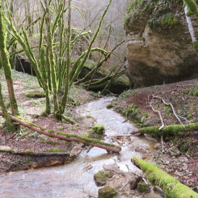 Baume Bourla mardi 3 mars 2026