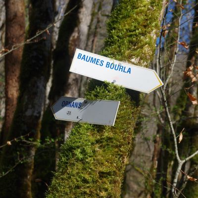 Baume Bourla mardi 19 mars 2024