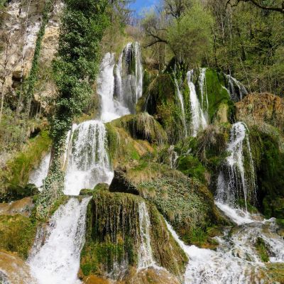 Lods - les cerisiers 14 avril 2023