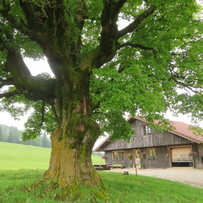 Crêt Monniot mardi 4 juin 2024