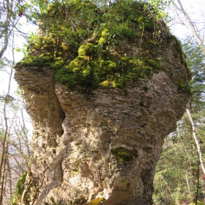 Eternoz vend 19 avril 2024