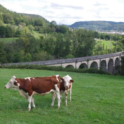 La Brême mardi 10 sept 2024