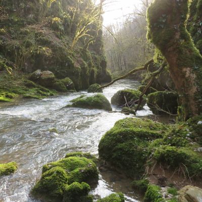 La Brême vendredi 14 févr 2025