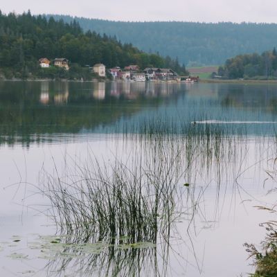 Oye et Pallet dimanche 22 sept 2024