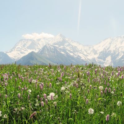St Nicolas de Véroce - Porcherey mercredi 19 juin 2024