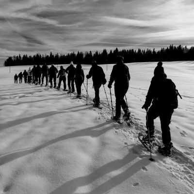 Rando raquettes - 15 janvier 2024