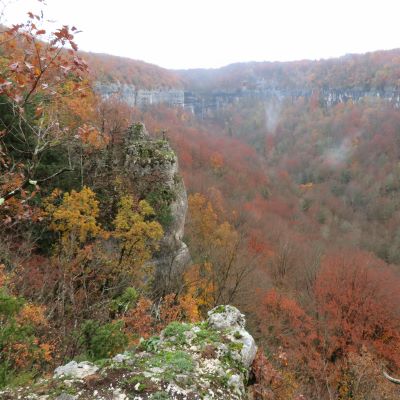 Fontaine de Léri Chassagne dimanche 19 nov 2023