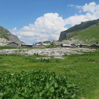 Samoëns - Chalets de la Sales vend 19 juin 2026