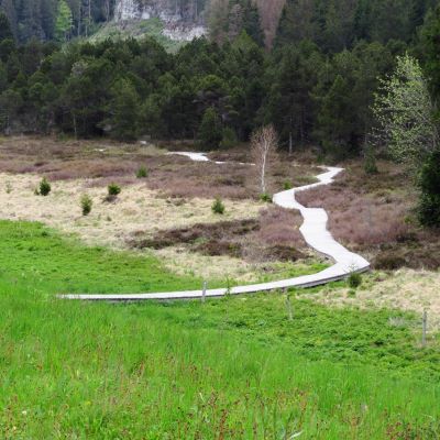 Prénovel les tourbières jeudi 18 mai 2023